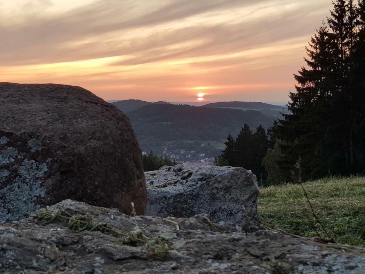 Ferienhaus Am Kirchberg Kurort Steinbach-Hallenberg Esterno foto