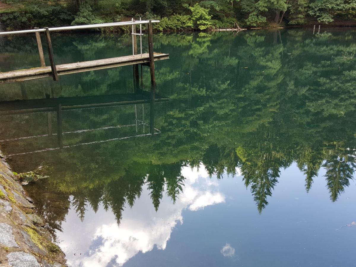 Ferienhaus Am Kirchberg Kurort Steinbach-Hallenberg Esterno foto