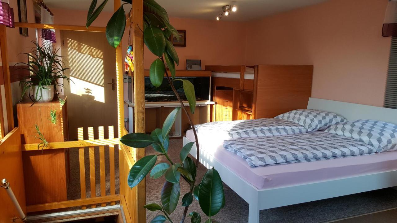 Ferienhaus Am Kirchberg Kurort Steinbach-Hallenberg Esterno foto